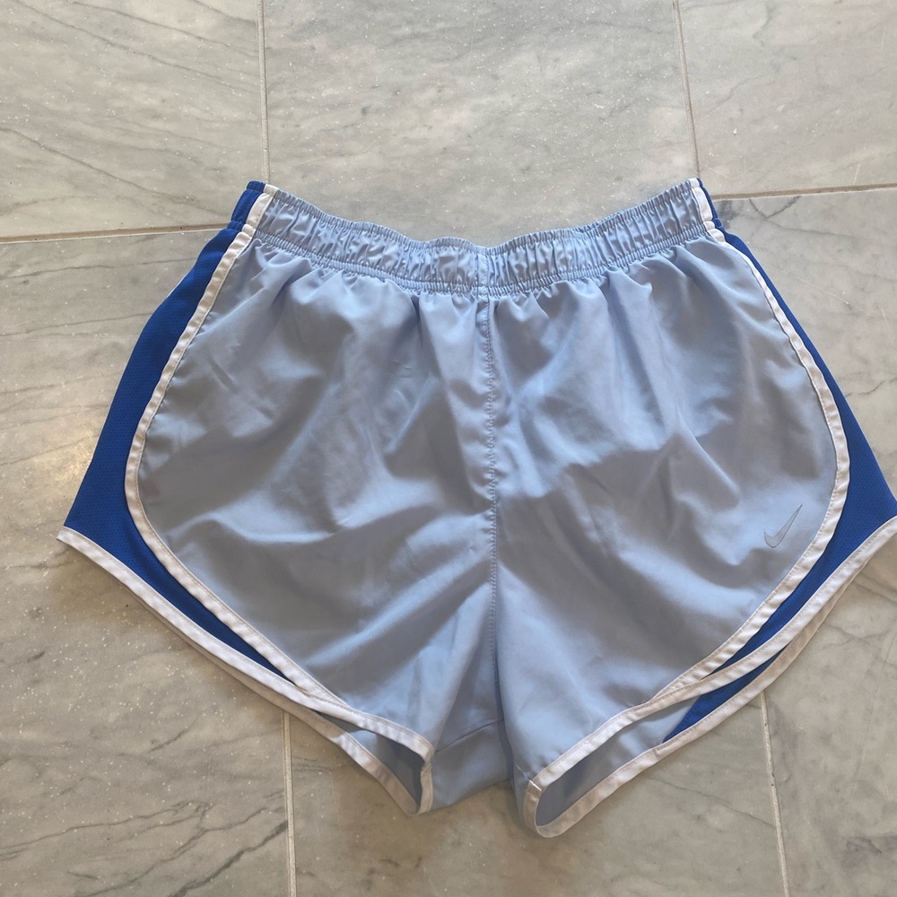 Light blue Nike shorts. Size L.